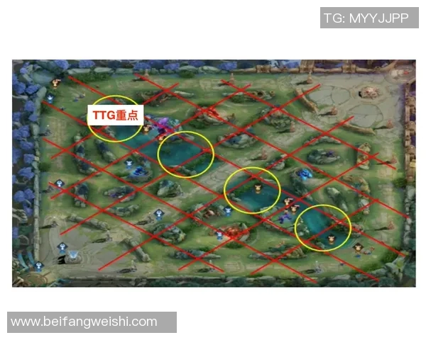 S15电竞总决赛王者荣耀焦点战术分析WE团队的战略布局与执行力探讨